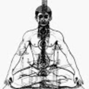 Meet your Posher, عمرو